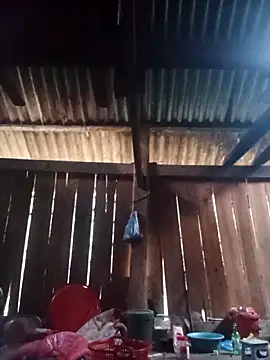 Ngocmi909 online show from 03.06.26