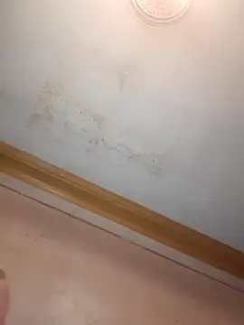 Klubnyhka3991 online show from 12.16.25