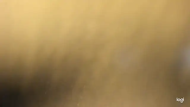 vlakas from cbate online show from 01.05.26