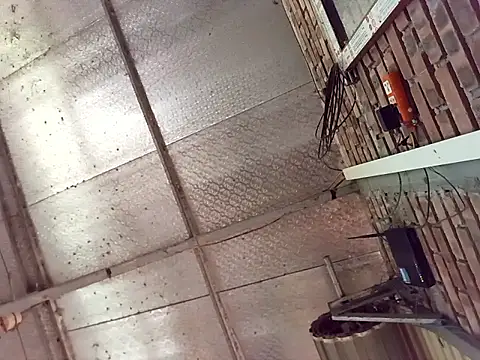 Snapshot of Fienjr chatting on 03.29.26 Fienjr online show from 03.29.26