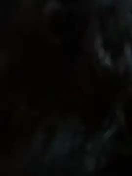 StylishEchium online show from 01.19.26