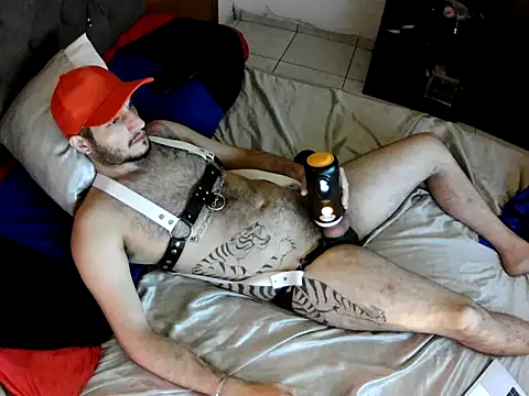 Snapshot of Dolfinhorb chatting on 05.04.26 Dolfinhorb online show from 05.04.26
