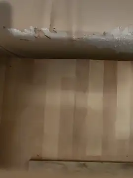 Snapshot of DarkNova9 chatting on 10.17.25 DarkNova9 online show from 10.17.25