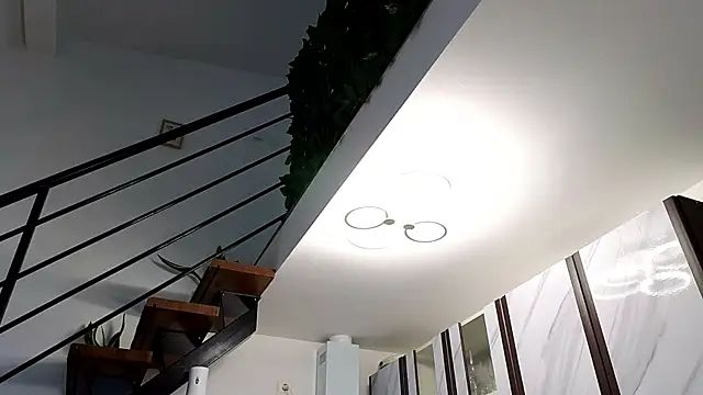 RyanStorm  online show from 02.02.26