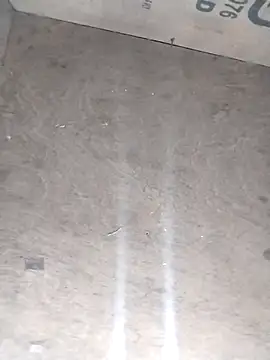 avi007p online show from 02.28.26