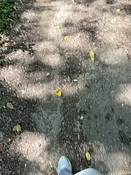 amo660 online show from 09.20.25