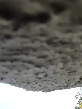 Snapshot of AnanyaKapoor89 chatting on 11.09.25 AnanyaKapoor89 online show from 11.09.25