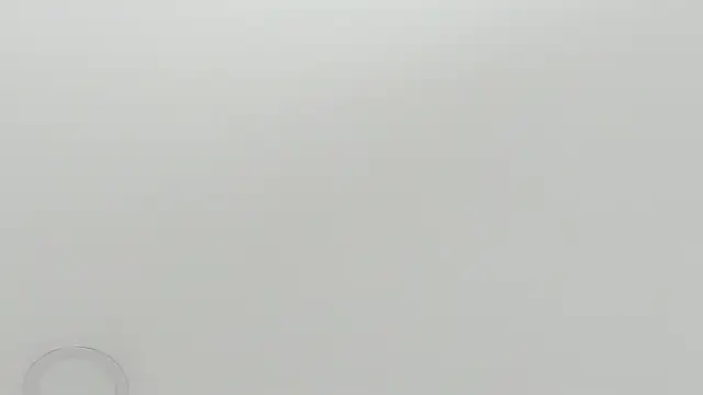 Snapshot of scarletross_ chatting on 02.26.26 scarletross online show from 02.26.26