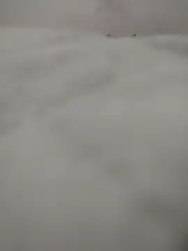 Snapshot of safadomoreno chatting on 04.12.26 safadomoreno online show from 04.12.26