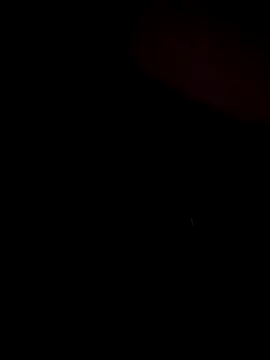 stevo170t online show from 11.13.25