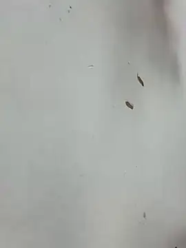 Baby-mmm online show from 01.10.26