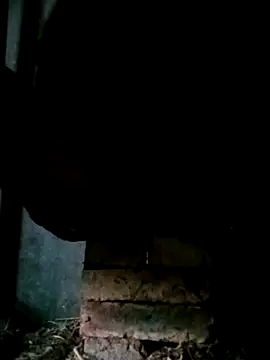 Snapshot of NegroArg_22 chatting on 10.02.25 NegroArg 22 online show from 10.02.25