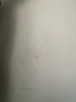 Dickssnake online show from 02.12.26