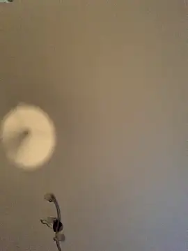 GeilerHSVFAN1989 online show from 11.11.25