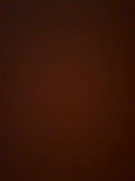 drc0000 online show from 04.15.26