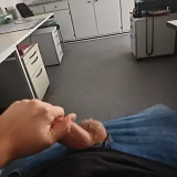 stunning stallion online show from 11.16.25