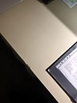 stunning stallion online show from 02.02.26