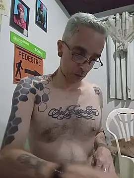 dinho carioca online show from 01.11.26