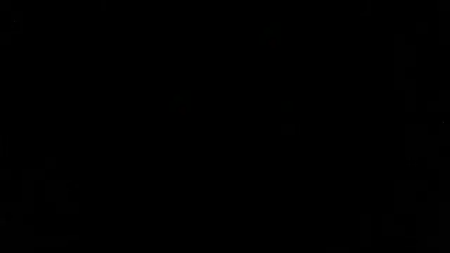 Zulema R1 online show from 03.01.26