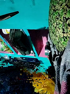 Pooja750 online show from 02.20.26