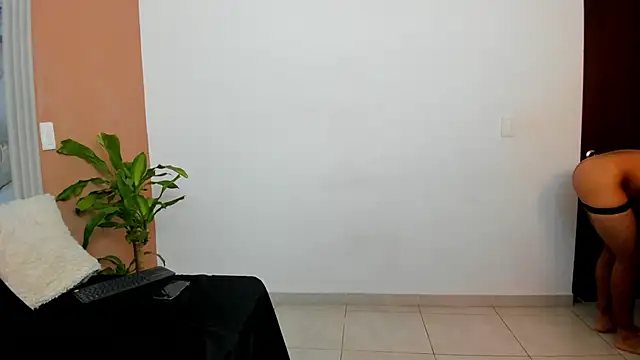  online show from 11.14.25