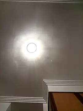 Snapshot of MonthlyLimb9 chatting on 11.11.25 MonthlyLimb9 online show from 11.11.25