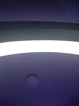  paulaaa online show from 11.15.25