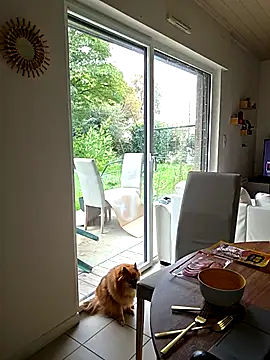 CornetDeGlace online show from 10.31.25