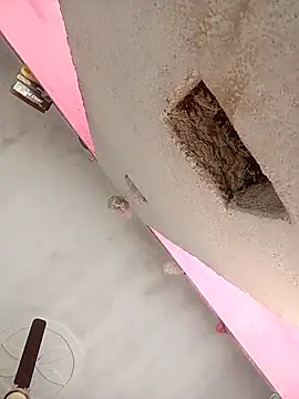 Payal950 online show from 02.07.26