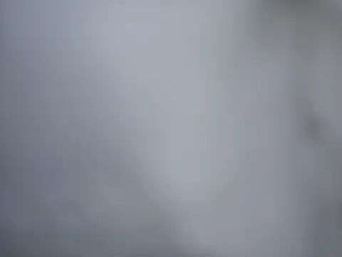 Ricotta1 online show from 12.22.25