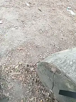 Snapshot of Dasdhon chatting on 11.18.25 Dasdhon online show from 11.18.25