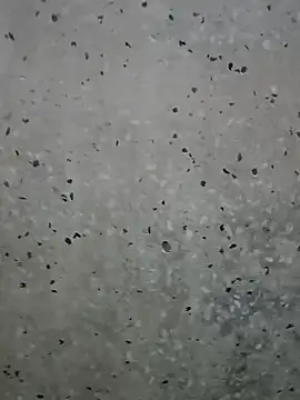 Mr xxx007xh online show from 03.01.26