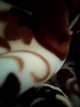 Snapshot of Hot_pooja55 chatting on 02.11.26 Hot pooja55 online show from 02.11.26