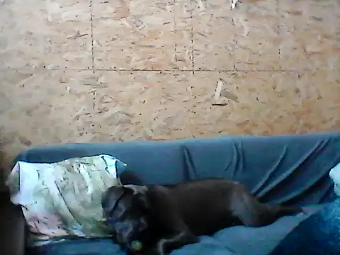 Milana38 online show from 01.16.26