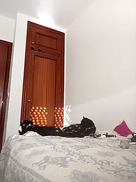 oscartres online show from 11.02.25