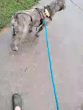 Snapshot of Unknownstepbrother chatting on 10.05.25 Unknownstepbrother online show from 10.05.25