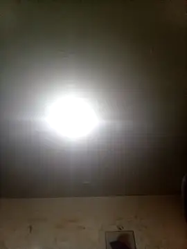 Bebicho14 online show from 09.09.25