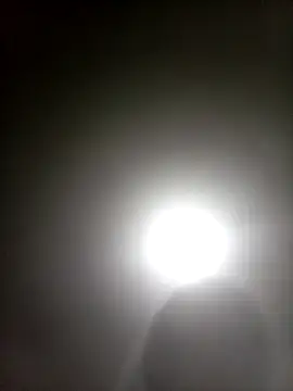 Bebicho14 online show from 04.05.26