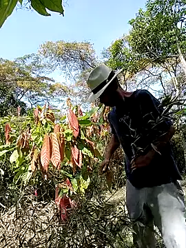 AlphaAlterX online show from 03.01.26