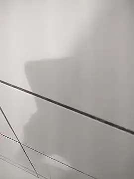 Novin23cms online show from 11.12.25