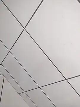 Novin23cms online show from 12.19.25