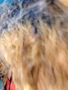 hemilynthomas2467 online show from 02.01.26