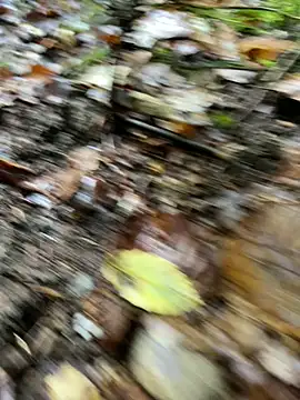 andymatthisbwc online show from 10.05.25