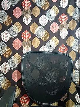 telugu pellam online show from 02.28.26