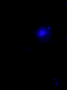 Snapshot of johnboones10 chatting on 10.22.25 johnboones10 online show from 10.22.25