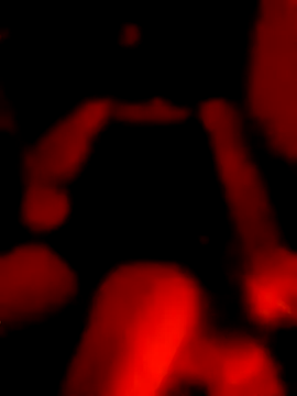 johnboones10 online show from 07.03.26