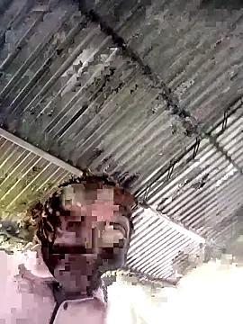 sharpei online show from 02.19.26