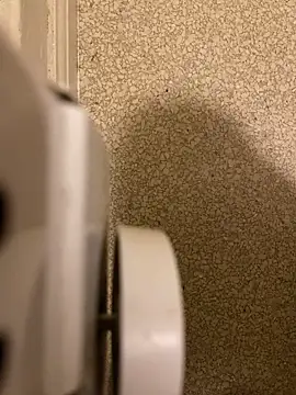 Pedro98801 online show from 12.18.25