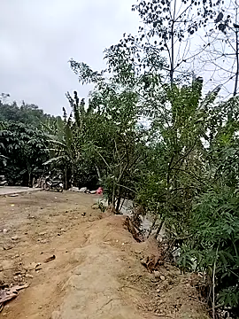 Tin tanny online show from 02.06.26