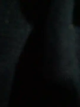 hmleonardo online show from 04.15.26